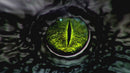 Legends Pinball 4KP<br>Dinosaur Dynasty