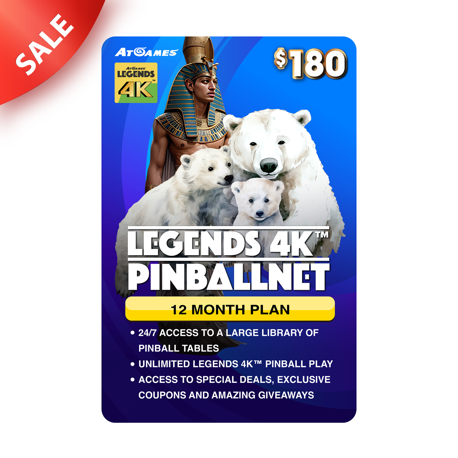 AtGames Legends 4K™ PinballNet™ - One Year